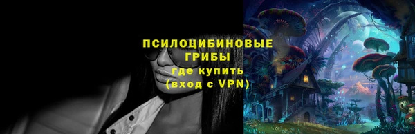 mdpv Инсар