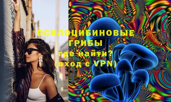 mdpv Инсар