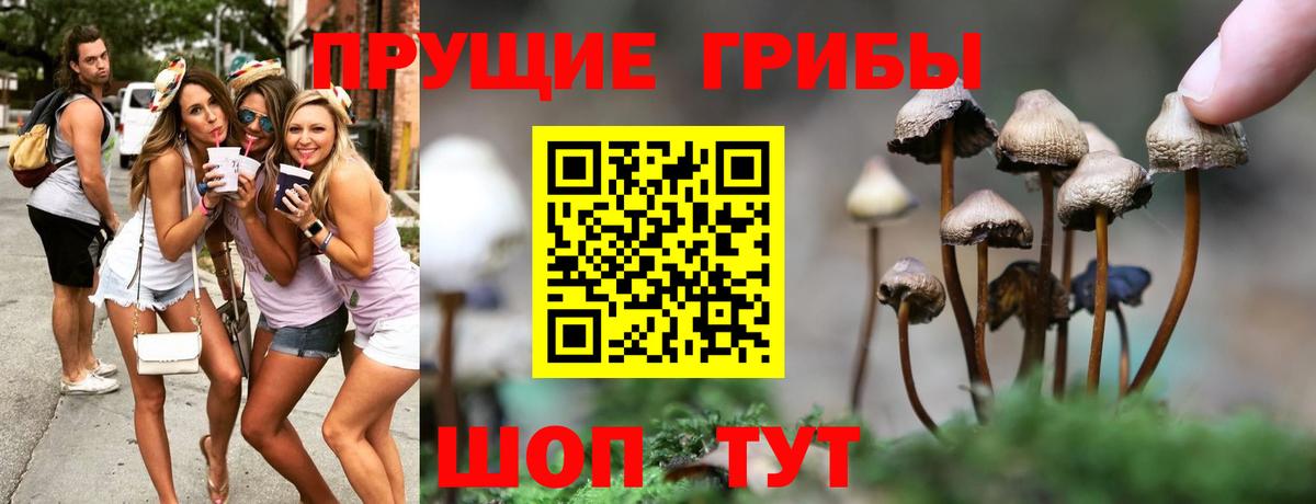 Галлюциногенные грибы мицелий  Псилоцибиновые грибы мицелий  Ханты-Мансийск  Вход с VPN 